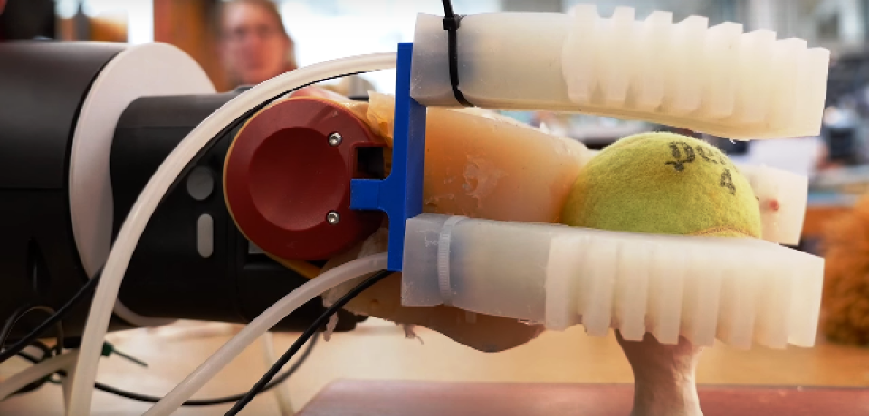 Soft Robotic Gripper to Identify and Pick up Objects