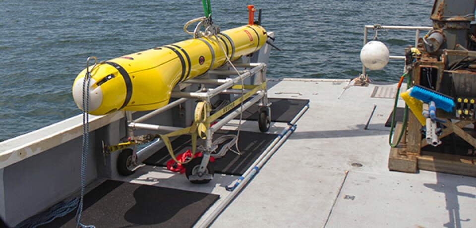 Can Pre-programmed Autonomous Underwater Vehicle make Real Time Decision?