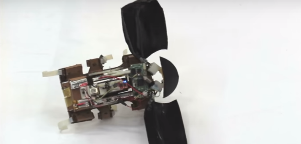A Bio-inspired Crawling-Jumping Robot